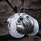Miniature ring with pearls 'Velvet Spring', Rings, Krasnogorsk,  Фото №1