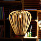 Lamp #2 plywood series PARA, Chandeliers, St. Petersburg,  Фото №1