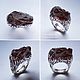 Dinochaos ring made of fossilized dinosaur bone and silver. Ring. Nomikon - Oleg Sobolev. My Livemaster. Фото №6