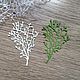 !Cutting for scrapbooking - SPREADING BRANCH, Scrapbooking cuttings, Mytishchi,  Фото №1