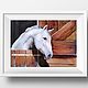 Pastel painting of a Horse (white brown black). Pictures. Pastelena. Online shopping on My Livemaster.  Фото №2