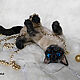 Realistic cat Celia. Teddy Toys. VaKulina (Valentina) Teddy Bear. My Livemaster. Фото №6