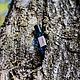 Духи во флаконе 10 мл. Духи. Wild Mystery Perfumes. Ярмарка Мастеров.  Фото №7