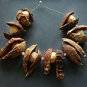 Материалы для творчества handmade. Livemaster - original item Set of beads nut shell Catechu nut 