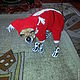 jumpsuit toy Terrier 'Santa Claus', Pet clothes, Moscow,  Фото №1