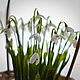 Basket of snowdrops '12 months'. Composition. KG_flowers. My Livemaster. Фото №4