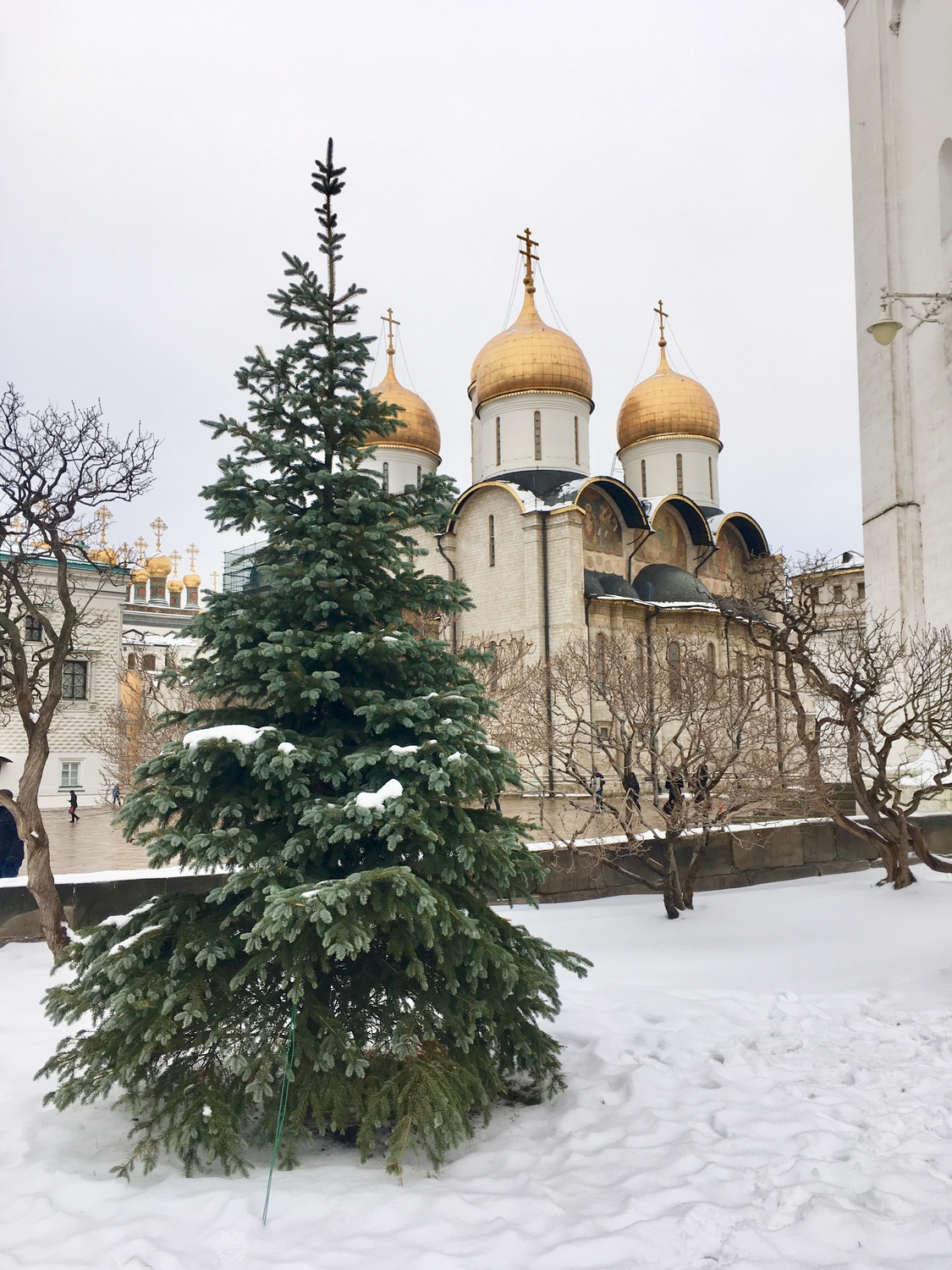 Зима и размышление о вечном