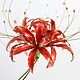Hairpin bright red lycoris spider lily, Hairpin, Cheboksary,  Фото №1