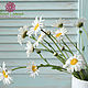 Chamomile from polymer clay (cold porcelain), ,1pc. Plants. Irina Luzanova. Online shopping on My Livemaster.  Фото №2