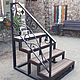 Металлическая лестница, Лестницы, Раменское,  Фото №1