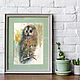 Watercolor painting. Birds. OWL, Pictures, Moscow,  Фото №1