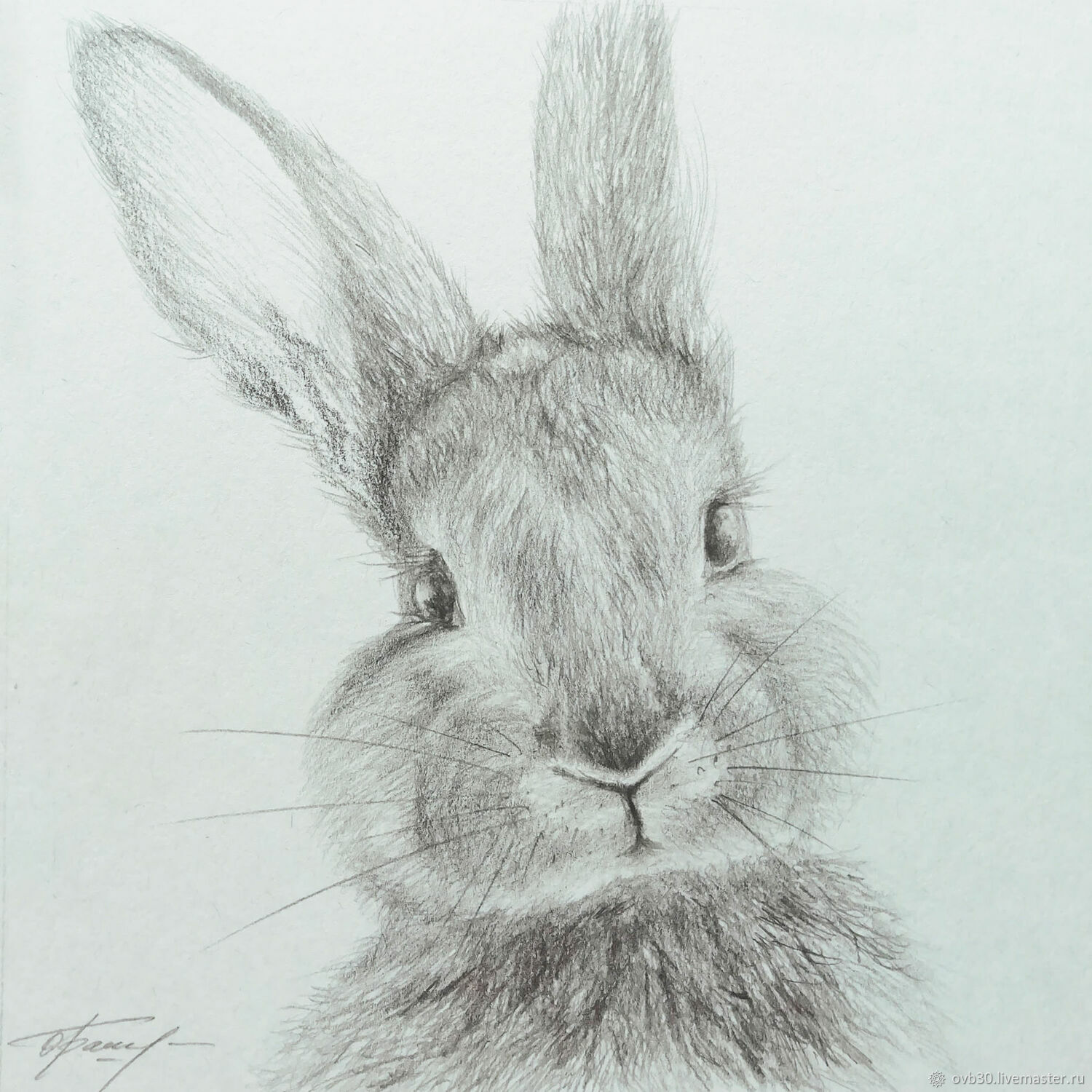 Рисунок кролик серый