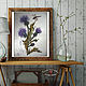 Paintings: watercolor botanical illustration of THISTLE and DRAGONFLY. Pictures. pictures & decor of TanyaSeptember. Online shopping on My Livemaster.  Фото №2