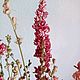 Дельфиниум сухоцвет. Цветы сухие и стабилизированные. b.g.shishki - сухоцветы и шишки. Ярмарка Мастеров.  Фото №10
