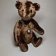 Teddy Bear Danka, Teddy Bears, St. Petersburg,  Фото №1
