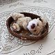 Scops (4 species). Stuffed Toys. Favorite toys from Kafetina. My Livemaster. Фото №12