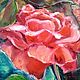 Scarlet roses oil painting on canvas with stretcher. Pictures. positive picture Helena Gold. Online shopping on My Livemaster.  Фото №2