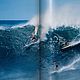 Винтаж: Surfing. 1778–Тоdаy:. Книги винтажные. Antik-book. Ярмарка Мастеров.  Фото №6