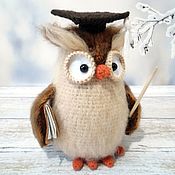 Куклы и игрушки handmade. Livemaster - original item Owl teacher. Handmade.