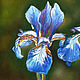  flowers Irises. Original. Pastel. Pictures. Valeria Akulova ART. Online shopping on My Livemaster.  Фото №2