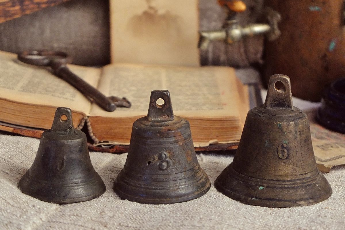 колокольчик одноцветковый. колокольчик на веревочке. колокольчик круглолистный растение. колокольчик оберег китайский. Campanula dasyantha.