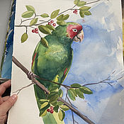 Картины и панно handmade. Livemaster - original item Watercolor painting Parrot. Handmade.