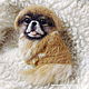 Felted portrait brooch Pekingese, Brooches, Ivano-Frankivsk,  Фото №1