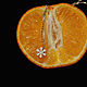 Колье цепочка с бегунком Снежинка из золота с бриллиантом, Колье, Санкт-Петербург,  Фото №1