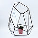 The Floriana for plants. Geometric vase for Floriana. The Floriana, Pots1, St. Petersburg,  Фото №1