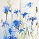 Watercolor Cornflowers 13 to 18 cm. Pictures. KapustinaArt. Online shopping on My Livemaster.  Фото №2