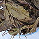 Заказать Чай из ферментированных листьев вишни. Силушка природы (Елена). Ярмарка Мастеров. . Травы Фото №3