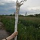Светящийся посох Радагаста. Luminous staff Radagast. Костюмы для косплея. 3DprintCosplay. Ярмарка Мастеров.  Фото №5