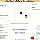 Кольцо с синим цейлонским сапфиром 3,08ct. и бриллиантами. Сертификат. Кольца. C.G. Studio. Интернет-магазин Ярмарка Мастеров.  Фото №2