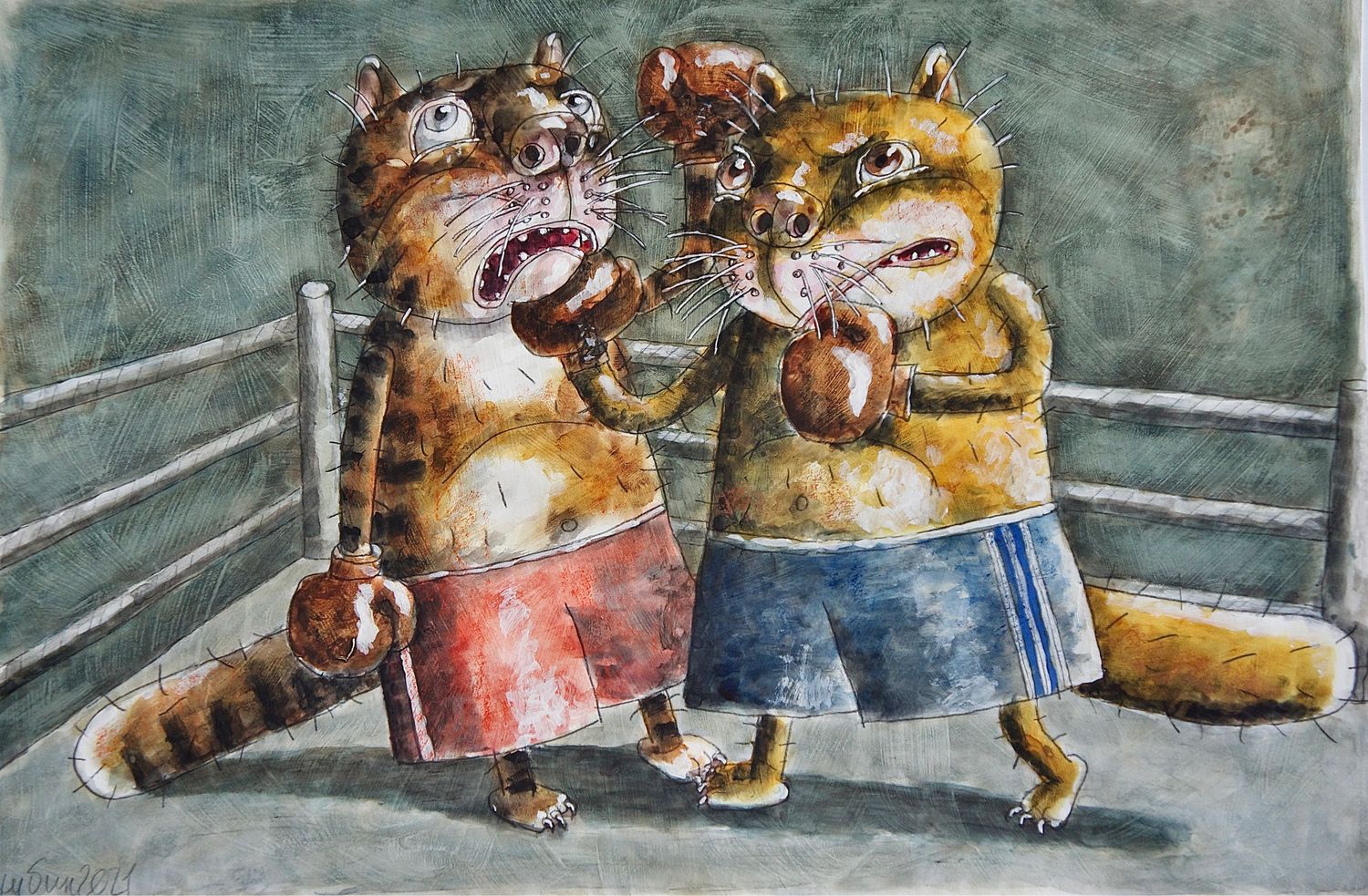 Кот боксер картинки