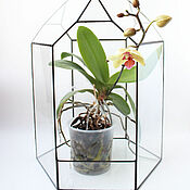 Цветы и флористика handmade. Livemaster - original item The Floriana. Geometric vase for Floriana. Orchidarium. bonsai. Handmade.