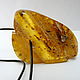 Pendant amber 'tales from the Vienna woods' K-464. Pendants. Amber shop (vazeikin). My Livemaster. Фото №5