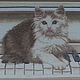 painting 'cat musician'. Pictures. Magic box. Online shopping on My Livemaster.  Фото №2
