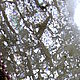 Кулон с кистью Keepsake. Пыльная роза. Пепел розы. Золотистый. Подвеска. Олеся (zimorodok). Ярмарка Мастеров.  Фото №4