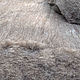 Merino BATT beige (Carded Wool Batts) 450 g. Felt. nzwool. My Livemaster. Фото №4