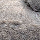 Merino Batt beige (Carded Wool Batts) 450 gr. Felt. nzwool. Ярмарка Мастеров.  Фото №4