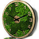 The clock of Moss. Fitokartins. goodly-studio. Online shopping on My Livemaster.  Фото №2