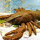 Речной обитатель - "Ракуша". Мягкие игрушки. Юлия (20vdohnovenye11). Ярмарка Мастеров.  Фото №5
