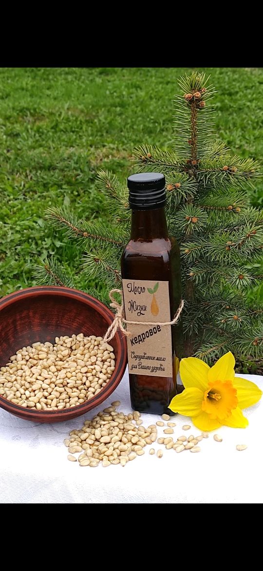 Купить Масло Кедрового Ореха Сыродавленное В Владивостоке