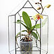 The Floriana. Geometric vase for Floriana. Orchidarium. bonsai. Florariums. Glass Flowers. My Livemaster. Фото №4