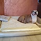 Лежак для большой собаки из мебельной кожи и жаккарда, Лежанки, Воронеж,  Фото №1