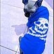 Sweater 'Skull' (Different color). Pet clothes. anyapetrova05. My Livemaster. Фото №6