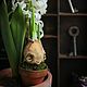 Order A daffodil bulb in a pot. Secret Jar. Livemaster. . Miniature plants and flowers Фото №3