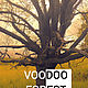Заказать  Шаманка. Voodoo Forest. Ярмарка Мастеров. . Кукла-оберег Фото №3