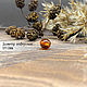 Заказать Cuentas de oliva 8h11mm natural ámbar Báltico coñac. LUXAMBER. Ярмарка Мастеров. . Beads1 Фото №3