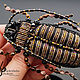 The Cockroach brooch, embroidery thread. Brooches. N_Belokon_jewelry. My Livemaster. Фото №5